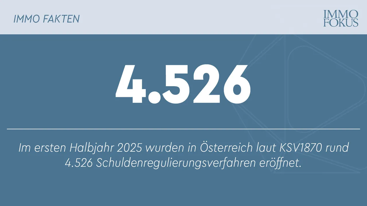 Privatkonkurse auf Vorjahresniveau