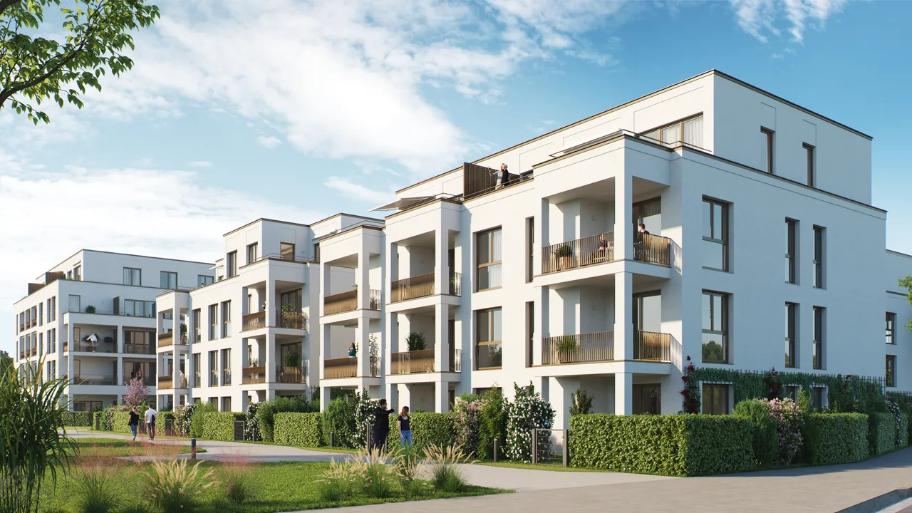 PANDION BASTIDE