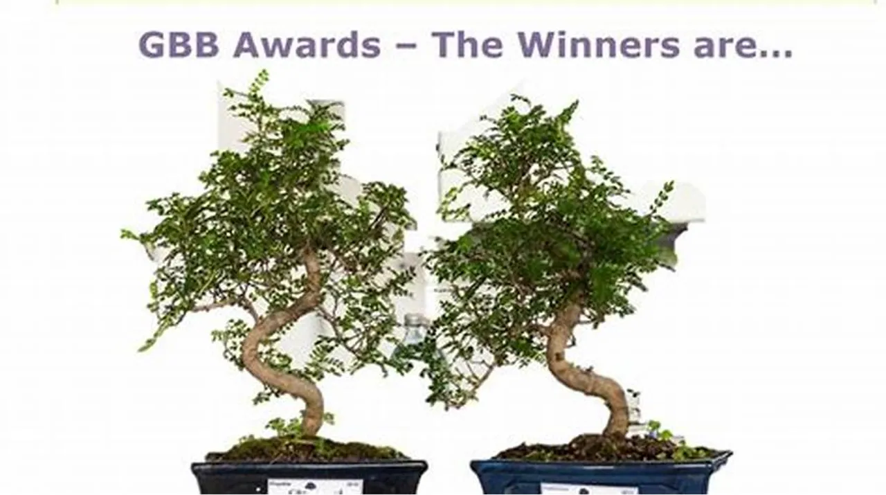 Value One und 3F Solar erhalten GBB-Award