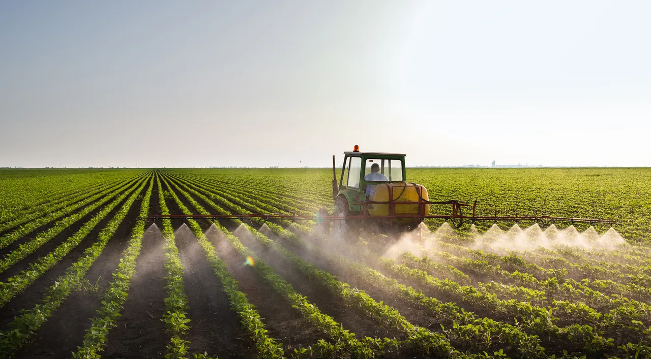 Lorenz Consult realisiert neue Produktionsanlage für algenbasierte Präparate