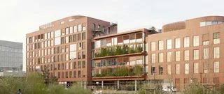 Bürokomfort mit begrünter Architektur, Tageslicht und intelligentem Sonnenschutz