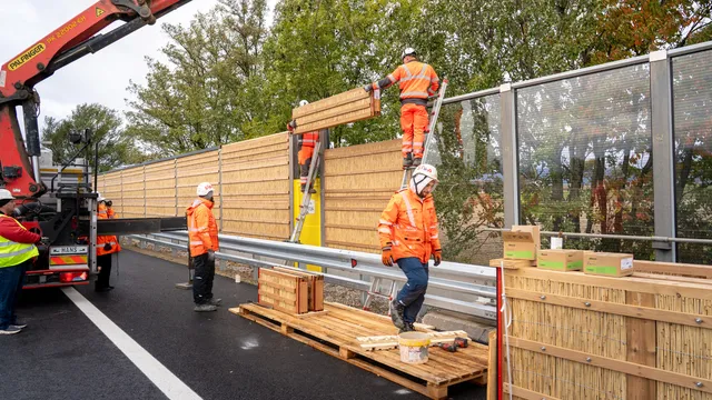 Erste Schilf-Lärmschutzwand an der A1 geht in Betrieb