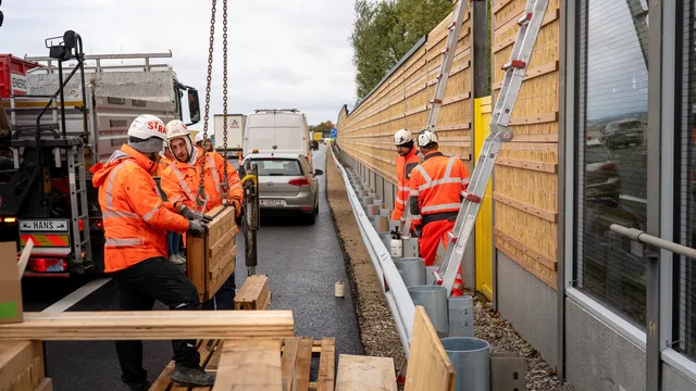 Erste Schilf-Lärmschutzwand an der A1 geht in Betrieb