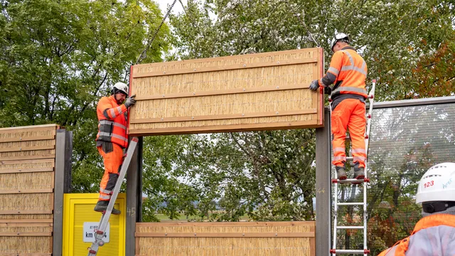 Erste Schilf-Lärmschutzwand an der A1 geht in Betrieb