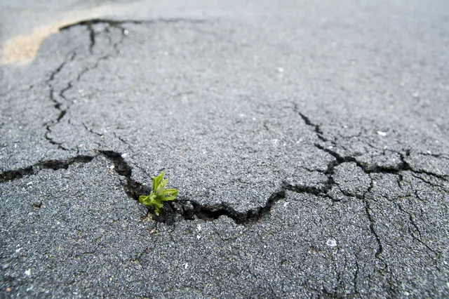 Bodenverbrauch soll bis 2030 um 80 Prozent reduziert werden