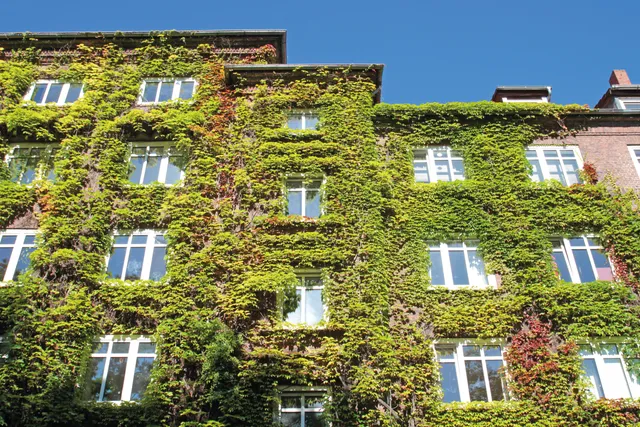 Grün statt grau auf Dächer und Fassaden: Ausstellung in Salzburg