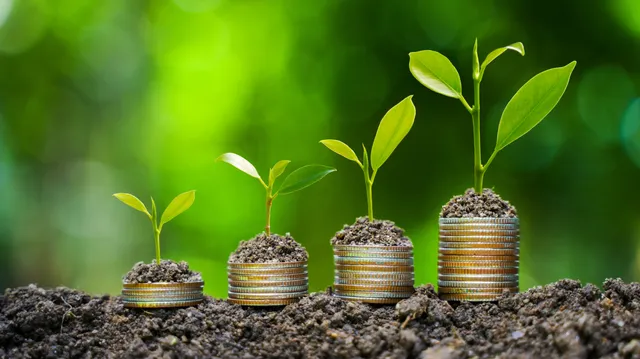 Effiziente Lieferketten fehlen beim klimapositiven Bauen