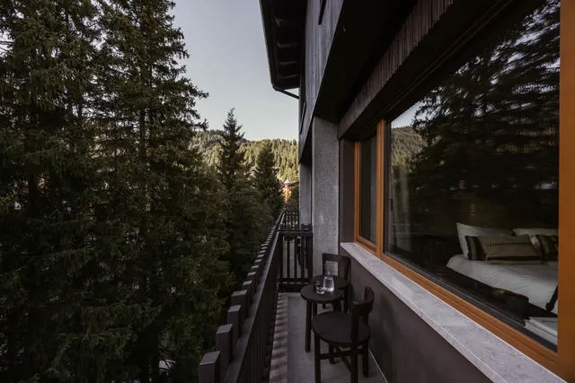 Casa Cook: erster alpiner Standort in Madonna di Campiglio