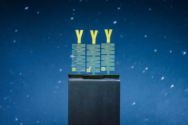 Das sind die IMMY-Preisträger 2022