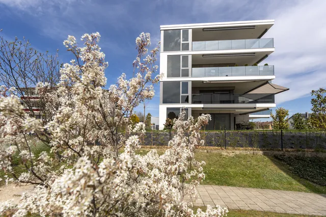 Premiere bei Smart Home von Somfy