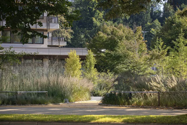 Land Rise: Ausgezeichneter Freiraum für Raiffeisen Haus in Bregenz