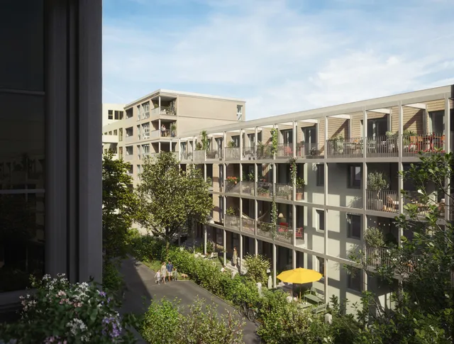 IFA-Erfolgsprojekt „Baumstadt Floridsdorf “