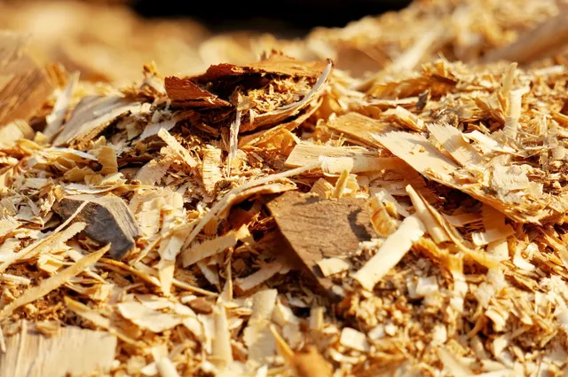 Markt für Biomassekessel dreht groß auf