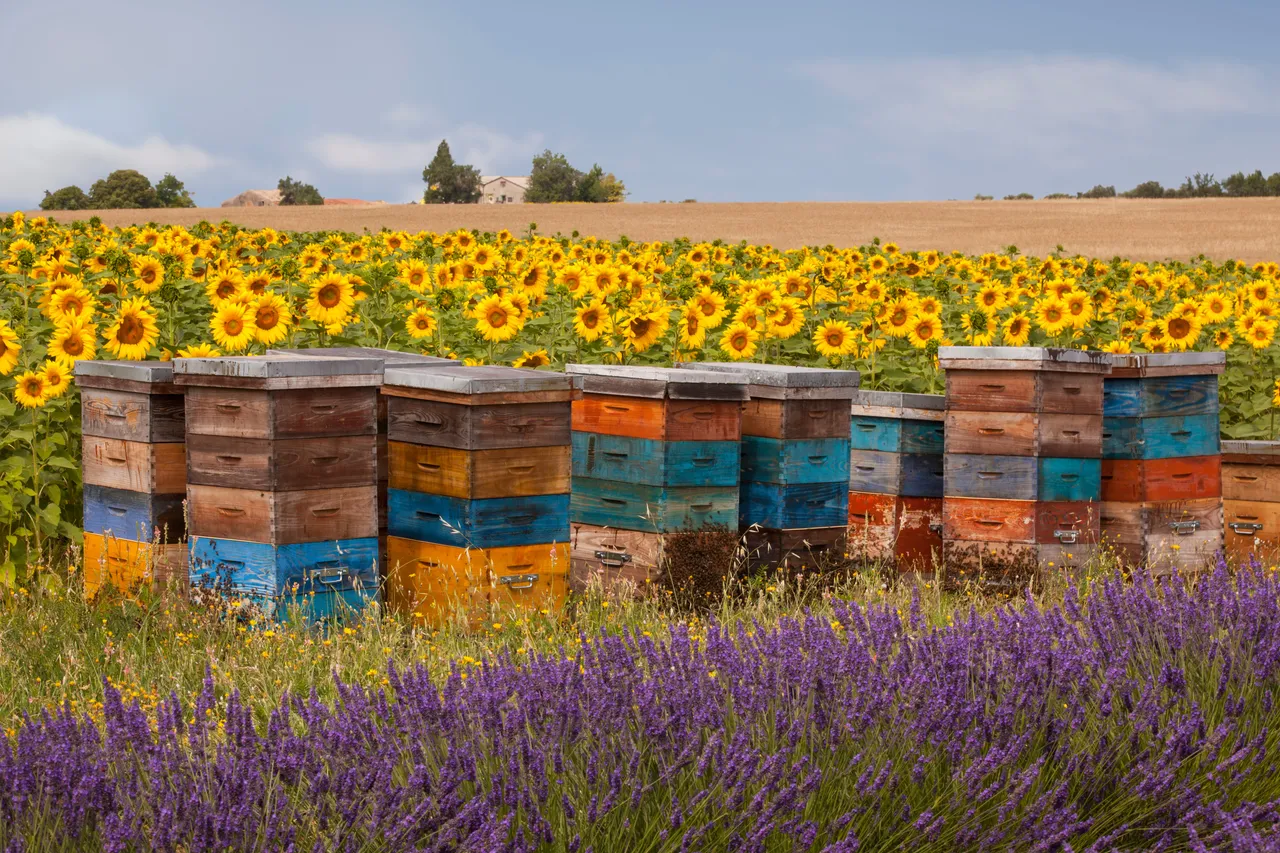 Biodiversität