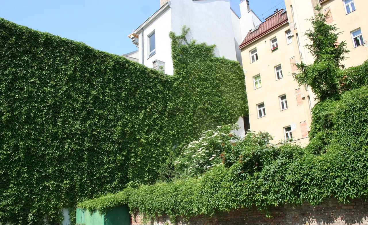 Grüne Fassade