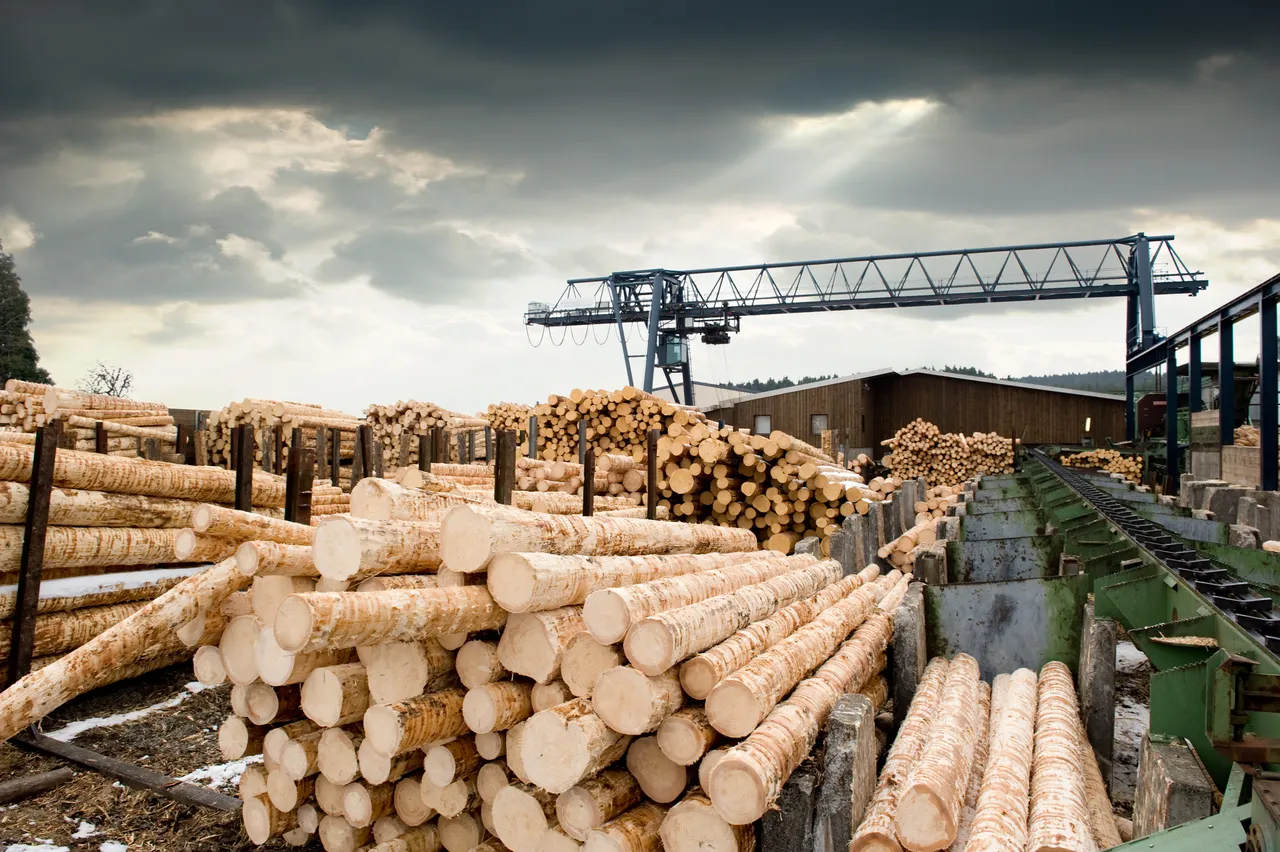 Holzindustrie