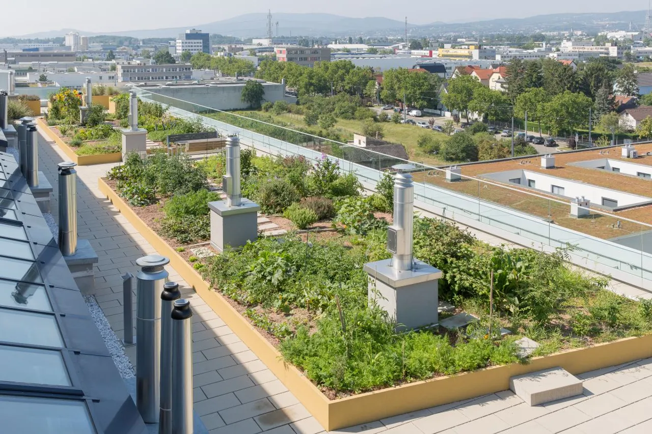 Wien Süd Urban Gardening