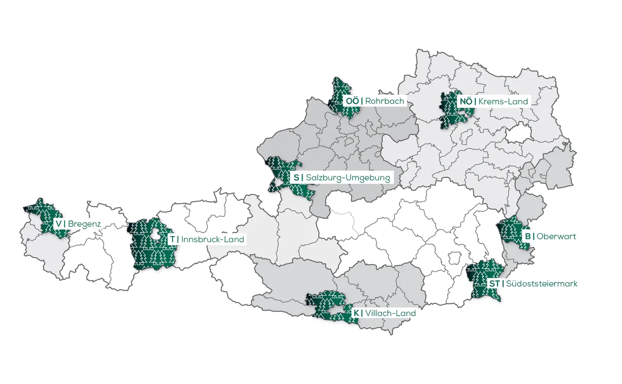 Waldverkäufe kurz vor Weihnachten im großen IMMOunited-Check