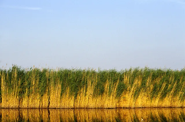 UNESCO-Beirat will Aus für Großprojekt am Neusiedler See