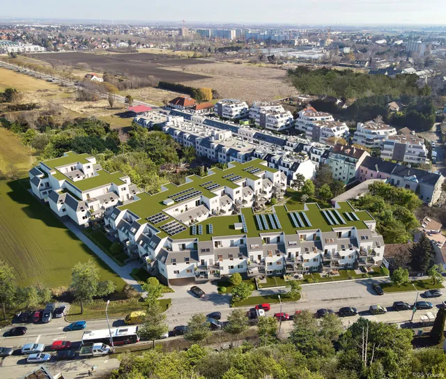 Neuer Platzhyrsch in Hirschstetten