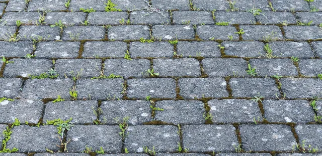 Wohnbauförderung setzt auf Entsiegelung und klimafitte Parkplätze