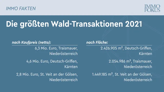 Tag des Waldes: willhaben und IMMOunited untersuchen Österreichs Waldgrundstück-Transaktionen