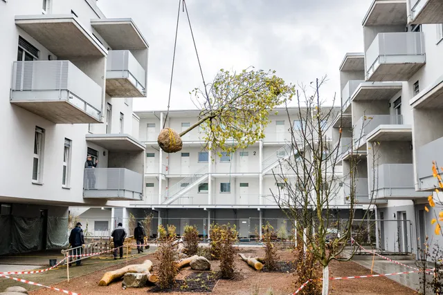 Auftakt für die Grünraumgestaltung im Graumann Viertel